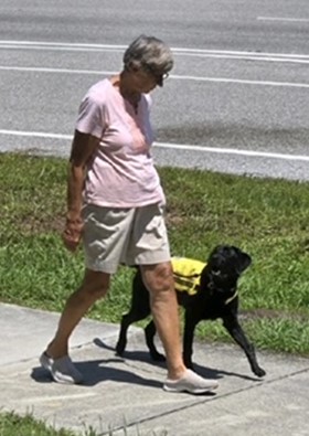 guide dog