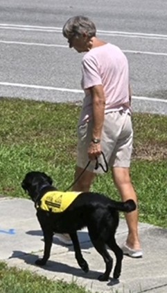 guide dog